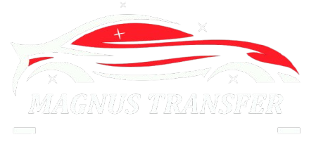 magnus transfer